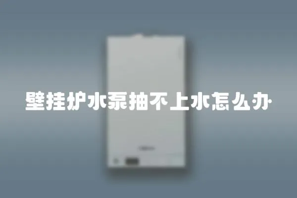 壁掛爐水泵抽不上水怎么辦
