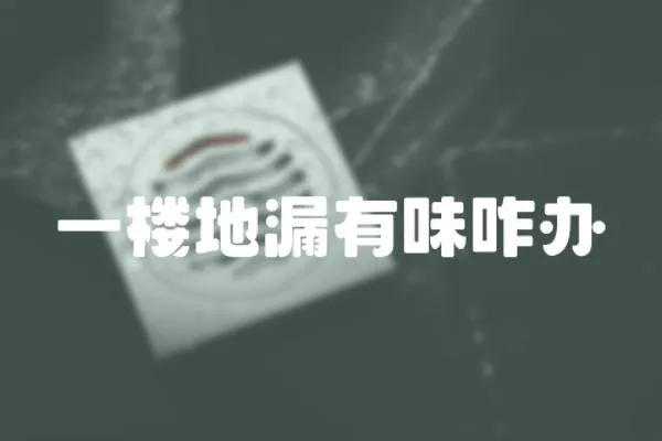 一樓地漏有味咋辦