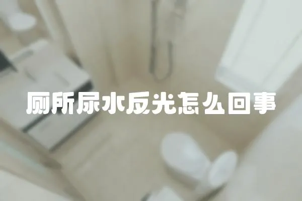 廁所尿水反光怎么回事