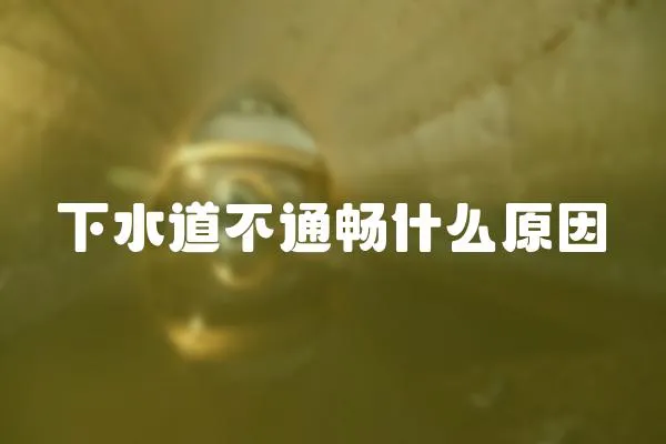 下水道不通暢什么原因
