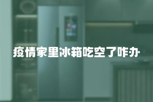 疫情家里冰箱吃空了咋辦