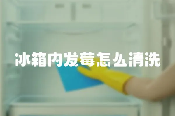 冰箱內發莓怎么清洗