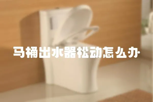 馬桶出水器松動怎么辦