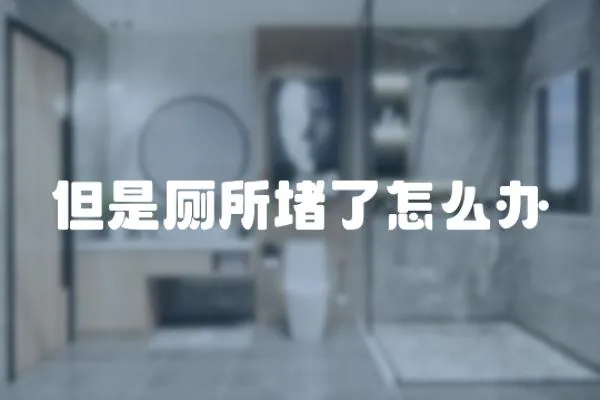 但是廁所堵了怎么辦