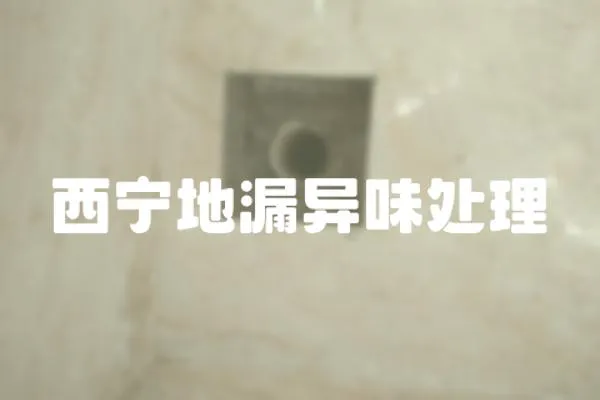 西寧地漏異味處理