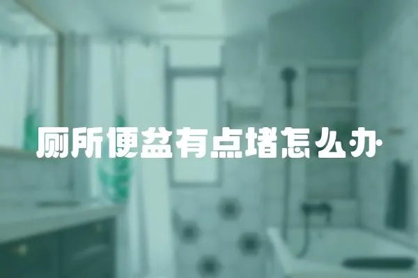 廁所便盆有點堵怎么辦