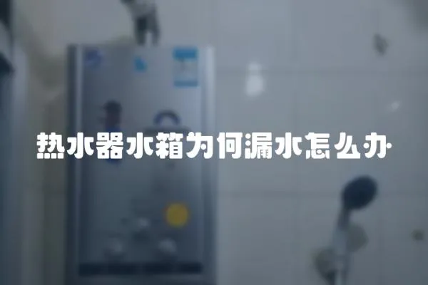 熱水器水箱為何漏水怎么辦