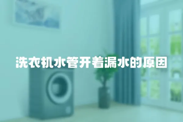 洗衣機水管開著漏水的原因