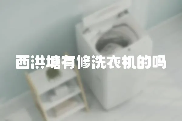西洪塘有修洗衣機的嗎