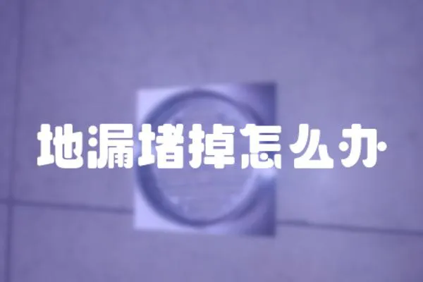 地漏堵掉怎么辦