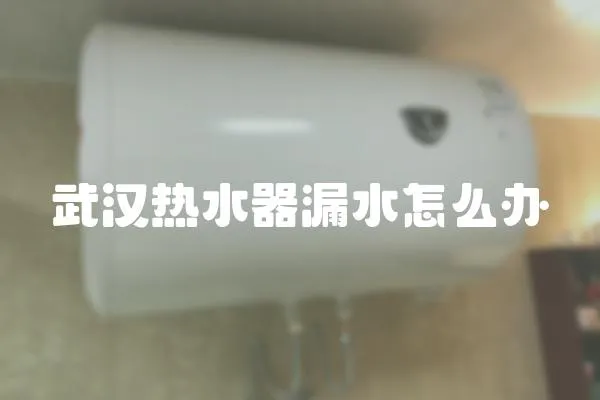 武漢熱水器漏水怎么辦