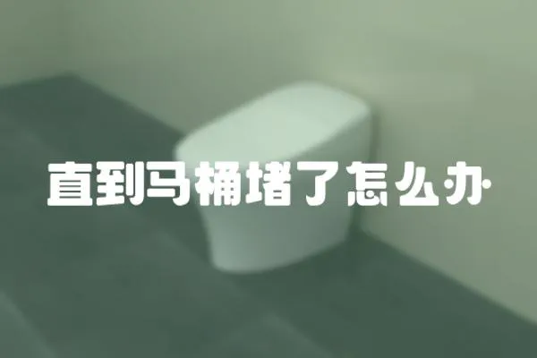 直到馬桶堵了怎么辦