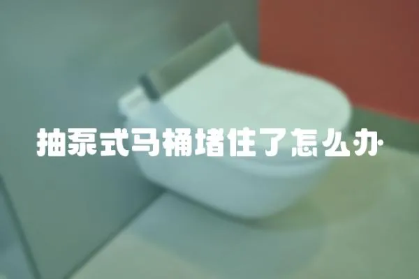 抽泵式馬桶堵住了怎么辦