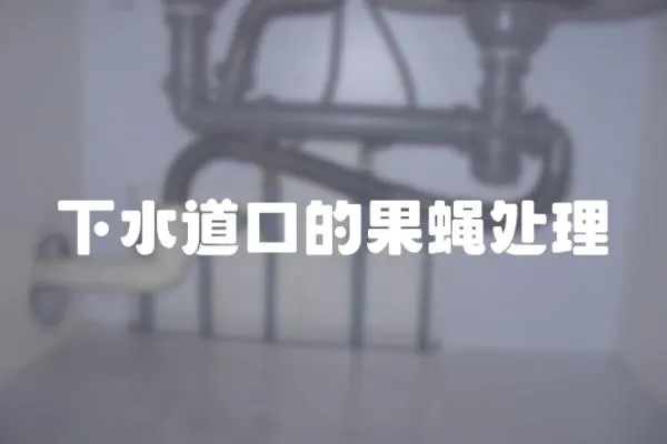 下水道口的果蠅處理