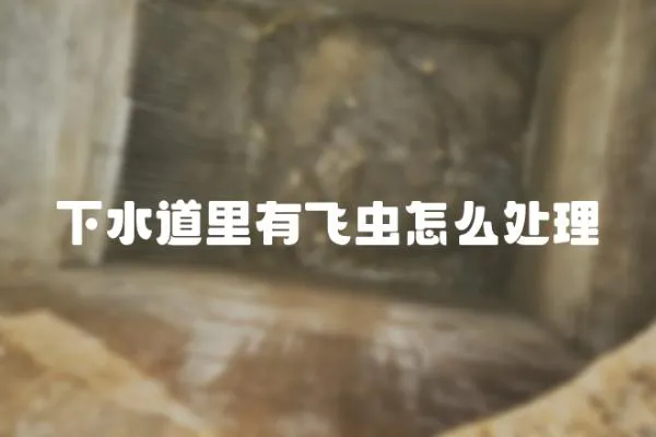 下水道里有飛蟲怎么處理