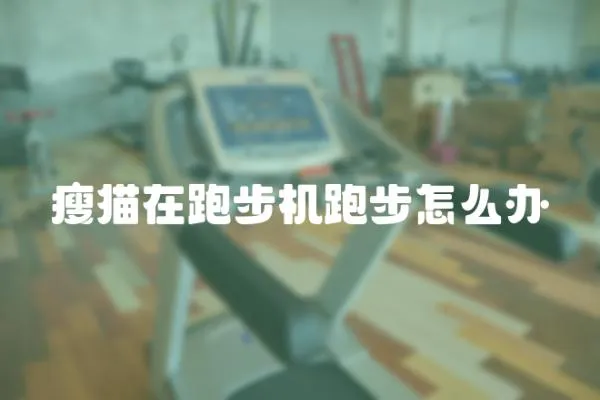 瘦貓在跑步機跑步怎么辦