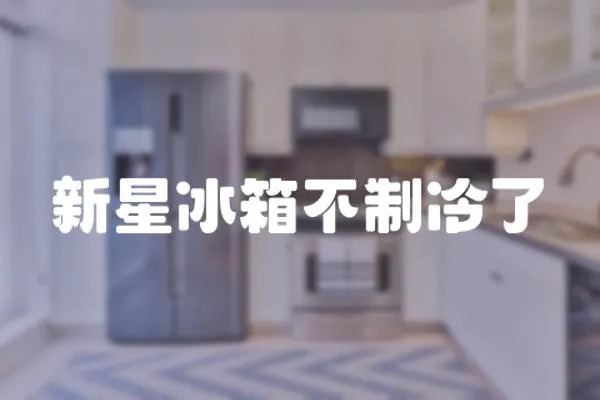 新星冰箱不制冷了