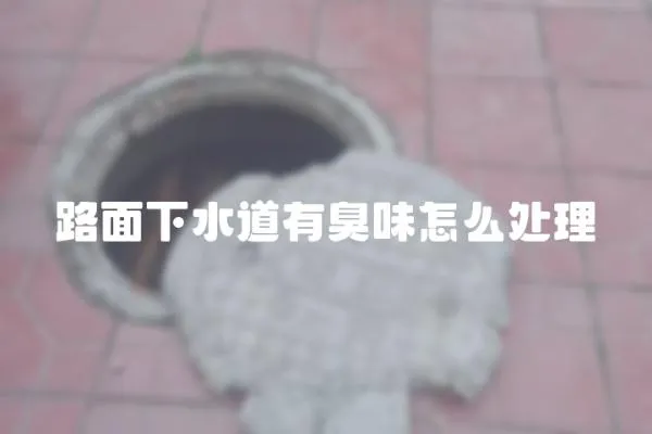 路面下水道有臭味怎么處理