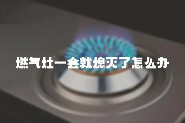 燃?xì)庠钜粫?huì)就熄滅了怎么辦