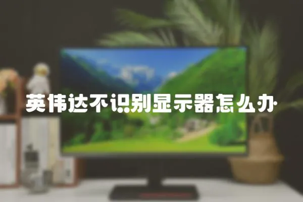 英偉達不識別顯示器怎么辦