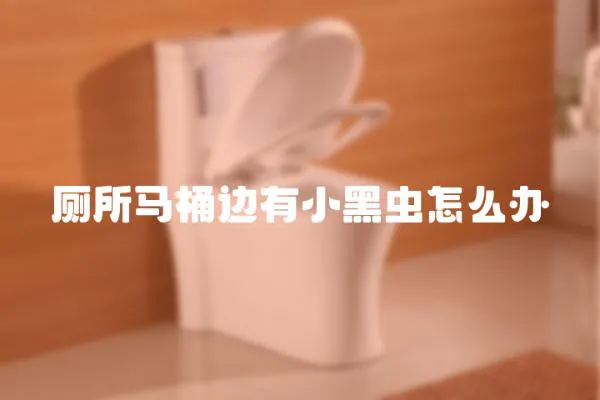 廁所馬桶邊有小黑蟲怎么辦