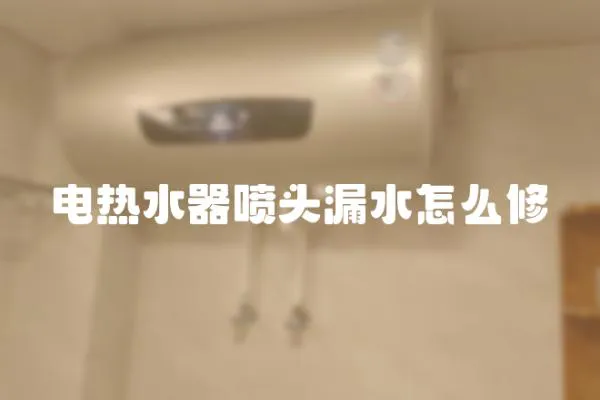 電熱水器噴頭漏水怎么修