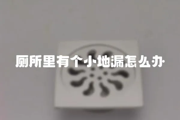 廁所里有個(gè)小地漏怎么辦