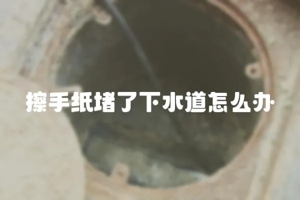 擦手紙堵了下水道怎么辦