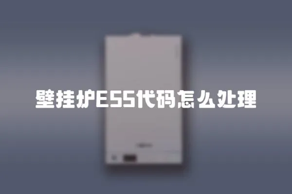 壁掛爐E55代碼怎么處理