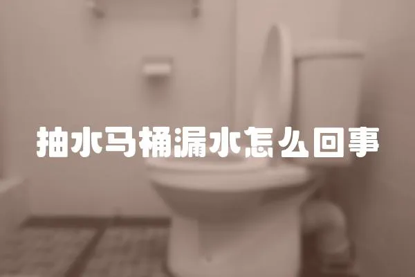 抽水马桶漏水怎么回事