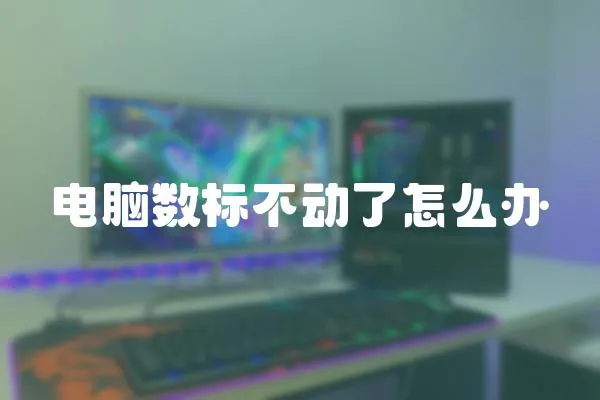 電腦數標不動了怎么辦