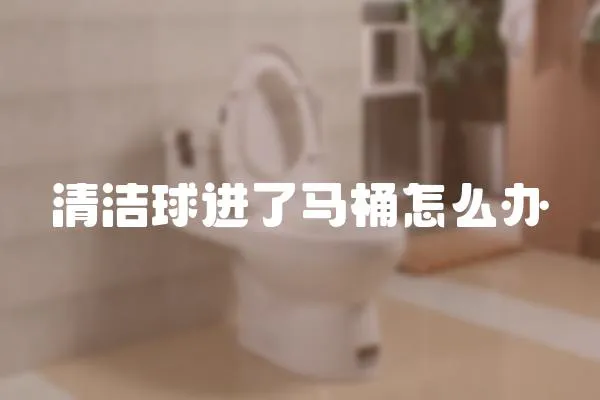 清潔球進了馬桶怎么辦