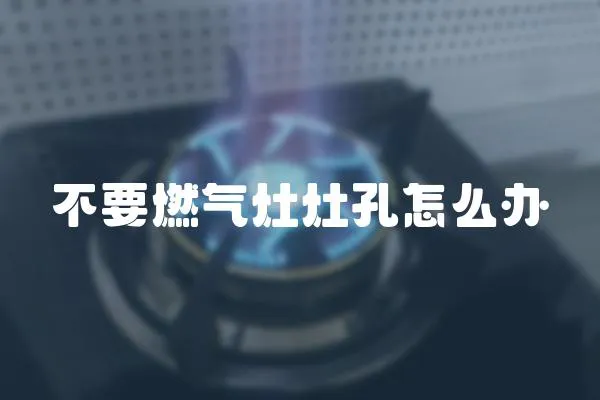 不要燃?xì)庠钤羁自趺崔k