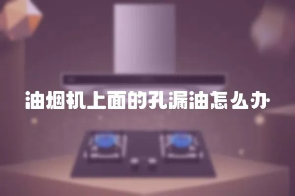 油煙機上面的孔漏油怎么辦