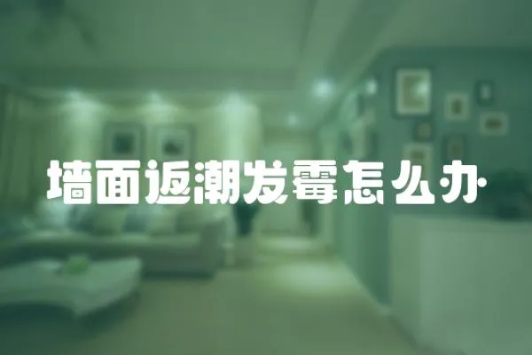 墻面返潮發(fā)霉怎么辦