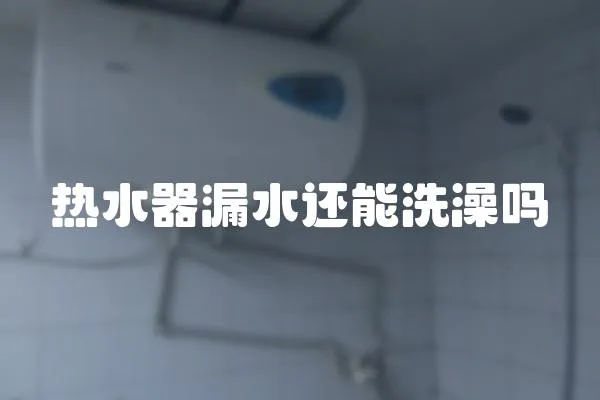熱水器漏水還能洗澡嗎