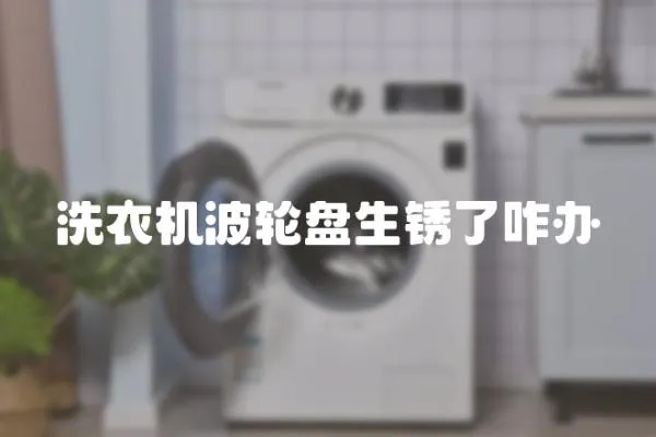 洗衣機波輪盤生銹了咋辦