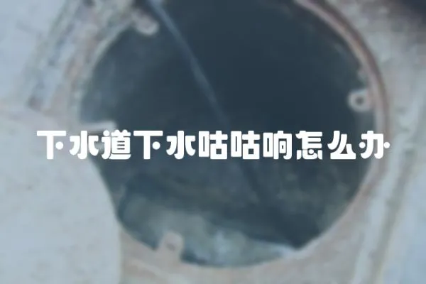 下水道下水咕咕響怎么辦