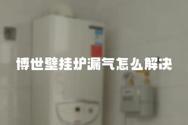 博世壁掛爐漏氣怎么解決