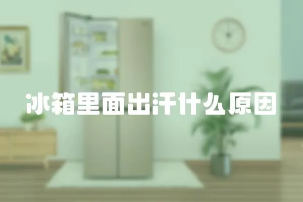 冰箱里面出汗什么原因