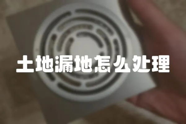 土地漏地怎么處理