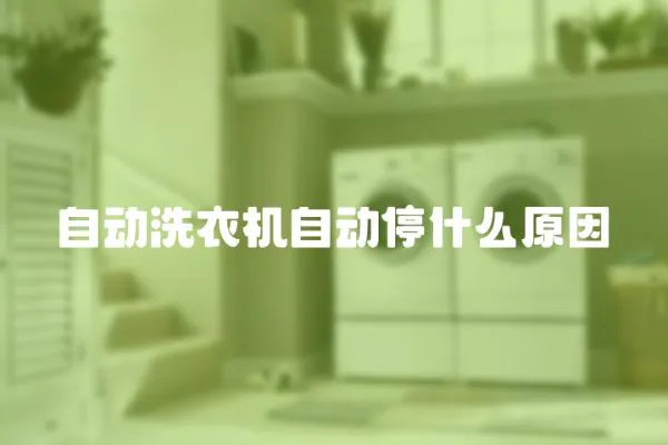 自動洗衣機自動停什么原因