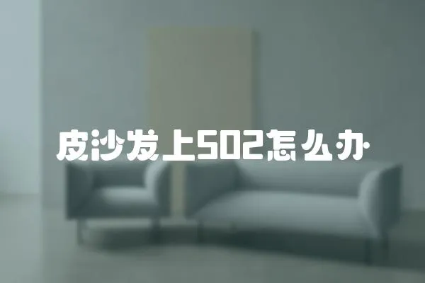 皮沙發(fā)上502怎么辦