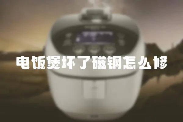 電飯煲壞了磁鋼怎么修