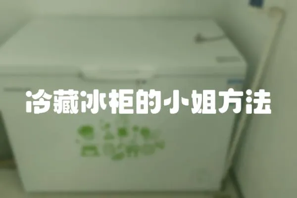 冷藏冰柜的小姐方法