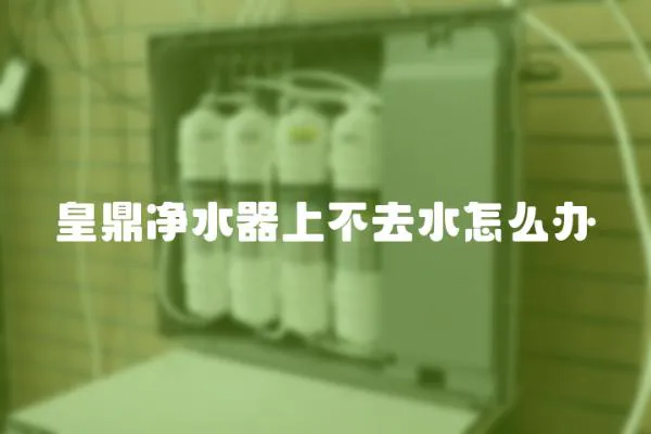 皇鼎凈水器上不去水怎么辦