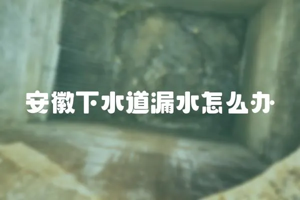 安徽下水道漏水怎么辦
