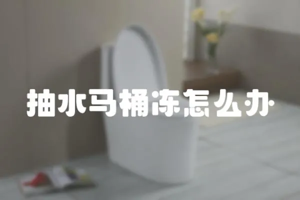 抽水馬桶凍怎么辦