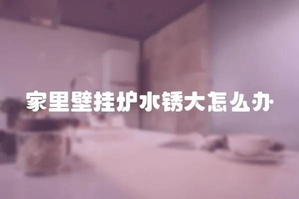 家里壁掛爐水銹大怎么辦