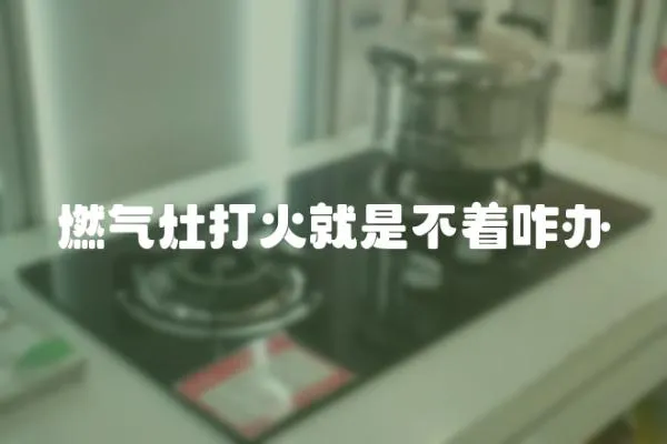 燃?xì)庠畲蚧鹁褪遣恢k